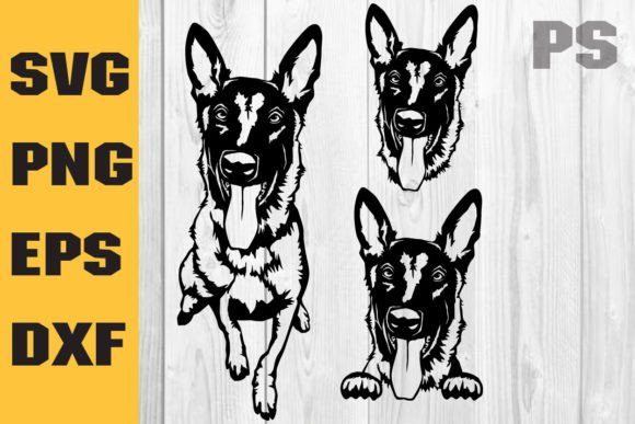 Belgian Malinois Svg, Dog – An Embroidery Designer's Honest Review